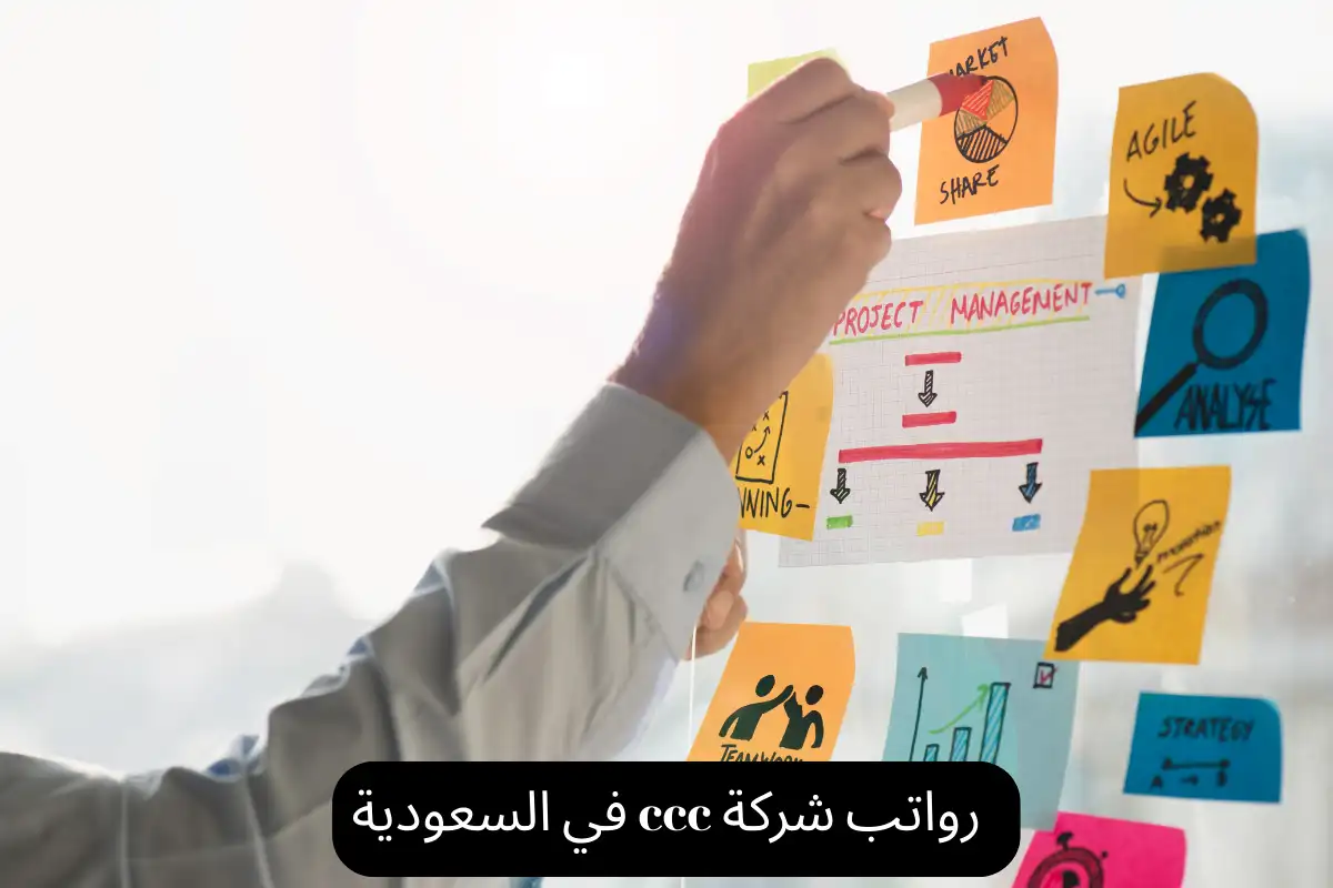 رواتب شركة ccc في السعودية
