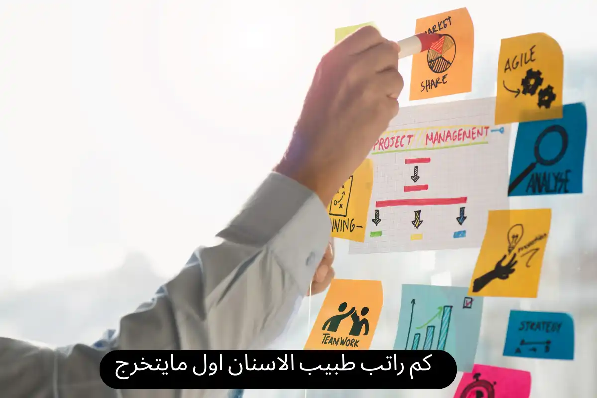 كم راتب طبيب الاسنان اول مايتخرج