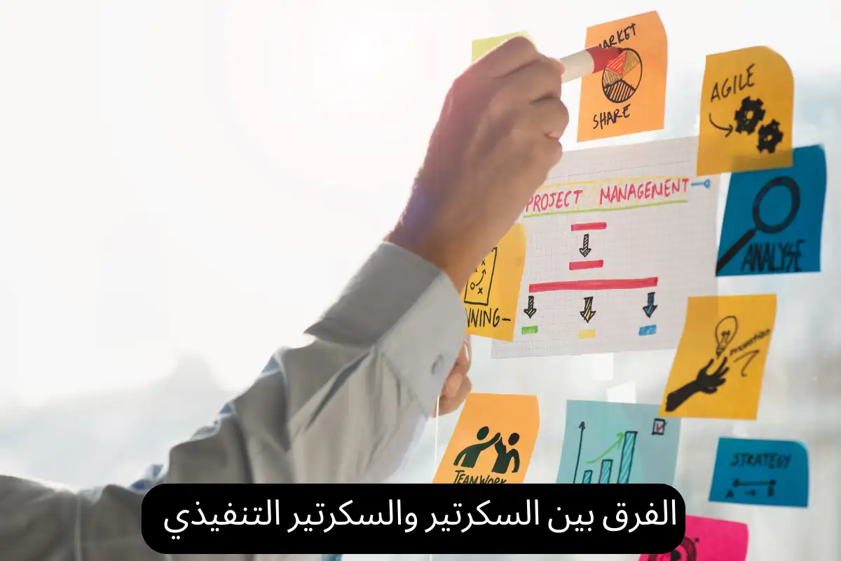 الفرق بين السكرتير والسكرتير التنفيذي